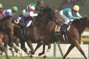 【競馬】シンハライト半弟、シンハリーズの2015（父オルフェーヴル）が総額1億2000万円で募集