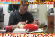 【画像】Z戦士｢3000円の飲み会に行くなら、1500円のマック2回食べた方がいい｣