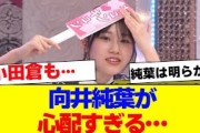 【櫻坂46】向井純葉と小田倉麗奈が心配すぎる…【#そこ曲がったら櫻坂 #自業自得  #三期生 #ミーグリ #オタの反応集 】