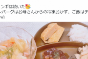【紫咲シオン】クソガキの手料理女子力高いです