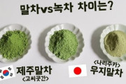韓国人「韓国式抹茶と日本の抹茶を比較した結果‥」→「日本の抹茶は色が悪くて渋くて不味かった」　韓国の反応