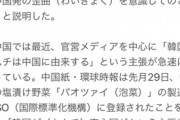 【画像】韓国さん、漫画「テコンダー朴」と同じような発言をしてしまうｗｗｗｗ