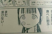 【飴玉】なんだよこの漫画ｗｗｗ【注意】