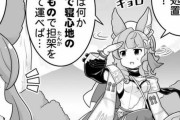 【グラブル】医者キャラとして出番が多いティコ先生、これまで医者がほとんど居なかったグラサイはどうしていたのか