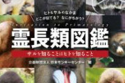 【悲報】　パヨク「高市追い詰めたぞ！勝利は近い！！」→ここから完全敗北した理由www