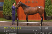 【セレクトセール2022】サマーハの2021（父リアルスティール）1億8千万円で落札