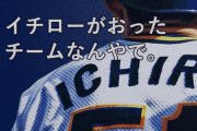 プロ野球球団のファン辞めた経験ある奴