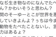 【一流のお笑い芸人w】ある女のツイート『“動物を食べる”って罪だょ？ぅちは今まで動物をたべたことないし、言う力はあるょ？』→その次のツイート画像がこちらwww