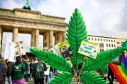 ドイツ、大麻合法化の法案可決　流通管理で未成年者の使用抑止狙う　医師会など根強い反対