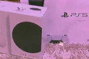 オコエ瑠偉、PS５を入手