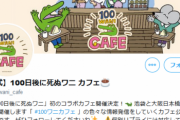 【悲報】電通100日ワニカフェ、初日からガラガラの模様・・・なぜなのか