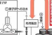 福島第1原発汚染水、やっぱり安全だったｗｗｗｗｗｗｗｗｗｗｗｗ