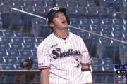 山田哲人(23).329 38本 100打点 34盗塁←こいつの思い出