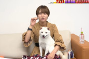 【画像】声優・富田美憂さんの飼ってる犬ｗｗｗｗｗｗ