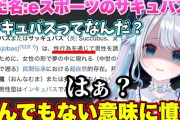 【ぶいすぽ】活動者の友達にサキュバスいじりされることを恥ずかしがる花芽すみれ