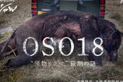 NHK取材班が遺骨を分析して推察した「OSO18」の真実