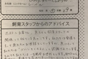 【悲報】ホストに貢いだ女さん、悩みを水族館に相談してしまう…→完璧な回答がこちらｗｗｗｗｗｗｗｗ