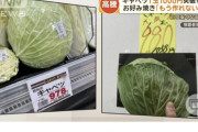 【朗報】キャベツの価格、銀行の手数料並に落ち着く