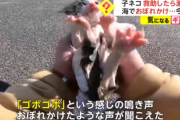 【朗報】猫拾いYouTuberが新証言「海でゴボゴボ言ってるの聞こえてきましたから」