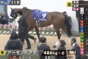 有馬記念のメンバーヤバすぎワロタwwwwwwww