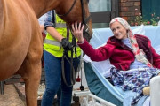 最期に愛馬に会いたい。ホスピスでその願いを叶えた女性