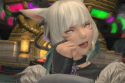 【FF14】ヤ・シュトラが好きな人には嬉しい(デレ)台詞！7.0とあるエリア突入前のヤ・シュトラのヒントトークがこちら