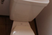 彼の『ねえ、俺を愛しているならトイレの便器を舐めて』　→　私「きえええええええ！」