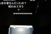 【謎の声】ニコ生の魚釣り配信中に謎の女性の声と青い人影のようなものが映り込む【動画】