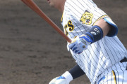 阪神・井上、フリー打撃で８８スイング中１２本の柵超えwwwwwwwwwwwwwwwwwwww