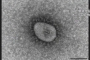 【ヤバイ】“ステルスオミクロン”の市中感染　東京都で初めて確認される  主流のオミクロン株と比べて感染力が強い模様