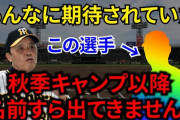 阪神　岡田監督が、あんなに期待をしていた”あの選手”に対するコメントが全くありません