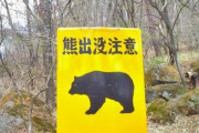 【悲報】全国の熊さん、一斉に人を襲い始める