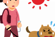 工藤静香「この炎天下の中、犬を歩かせている方がいます」と問題提起.....