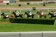 【動画】わざと落馬？　フランス競馬で物議！「同情できない」「怪しい」の声【沖ダイブ】