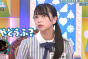 【日向坂46】山口陽世の謎の遊び「やどうふ」について調べた結果...!!!