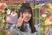日向坂46河田陽菜、ホリケンさんのとんでもない無茶振りの餌食になった結果・・・【ナニコレ珍百景】