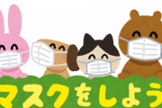 【悲報】アベノマスクが届く前に起こってしまった出来事ｗｗｗｗｗ