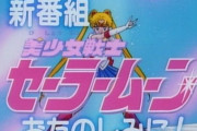 セーラームーンをリアルタイムで見てた世代にどうしても聞きたいことがある