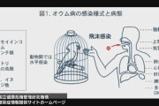 オウム病疑いで30代の妊婦が死亡　鳥の糞などが主な感染経路も女性は家庭内で飼育せず　長崎県内では初の死亡例