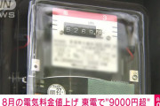 政府「節電しろ、電気使用制限(罰金付) 」⇒ さらに、電力大手4社 8月電気料金値上げ！