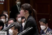 【国会】自民・小野田紀美議員、ＮＨＫに「不法行為を行ってる人をかばい国が悪いような番組を作ったり、日本の印象を悪くするようなことばかりしてる印象がある」