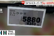 止まらない米の価格高騰…ついに5kg＝6000円台に突入するスーパーも　小売業者に届いた備蓄米は放出全体のわずか0.3％「現状耐えているところ…備蓄米が循環すれば」
