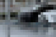 【悲報】倫理の欠片もないレクサス軍団の駐車風景を御覧くださいｗｗｗｗｗｗｗｗｗｗ