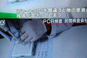 【画像】 日本、PCR検査は熟練技師が一生懸命やっていた模様ｗｗｗｗｗｗｗ