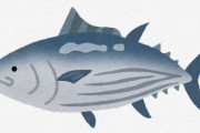 【朗報】今年の「初ガツオ」は脂が乗ってて旨くて安いらしいぞ！！