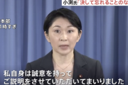 【悲報】ドリル小渕優子に新たな不透明な政治資金処理が発覚「ファミリー企業に1400万円超の支出」