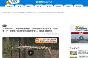 【新潟】クマカフェにクマ出現、緊急銃猟で駆除