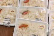 【悲報】令和最新版のシャケ弁当、限界突破ｗｗｗｗ