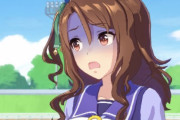 【ウマ娘】助けてキング！！こいつらめっちゃ懐いてくる！