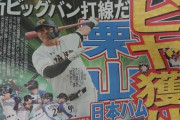 日ハム、前巨人のビヤヌエバ内野手を獲得調査